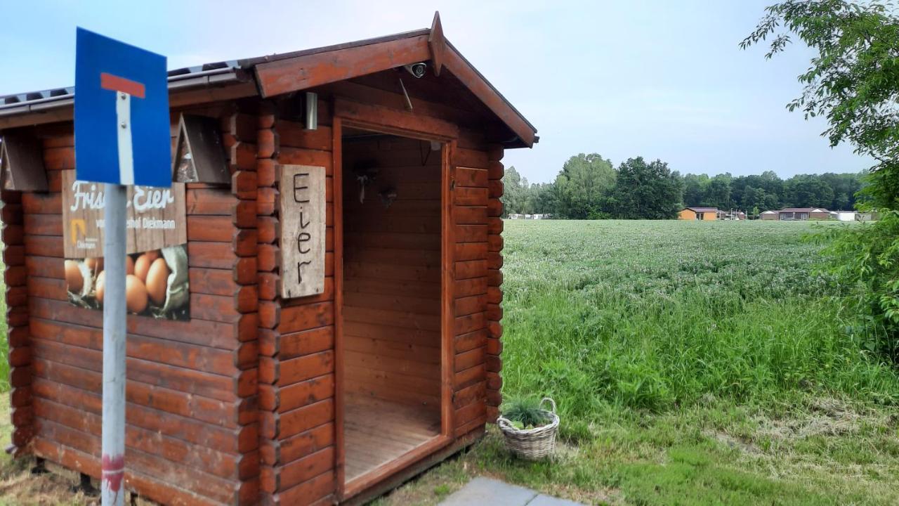 Seestern - Ferienhaus Am Quendorfer See Schuettorf Dış mekan fotoğraf